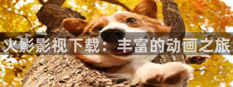 99视频精品全部免费免费观看：火影影视下载：丰富的动画之旅