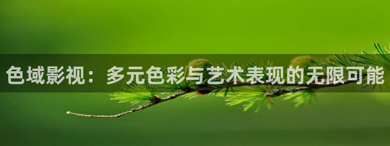 99视频精品网：色域影视：多元色彩与艺术表现的无限可能