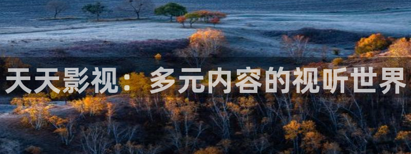99视频免费视频观看：天天影视：多元内容的视听世界