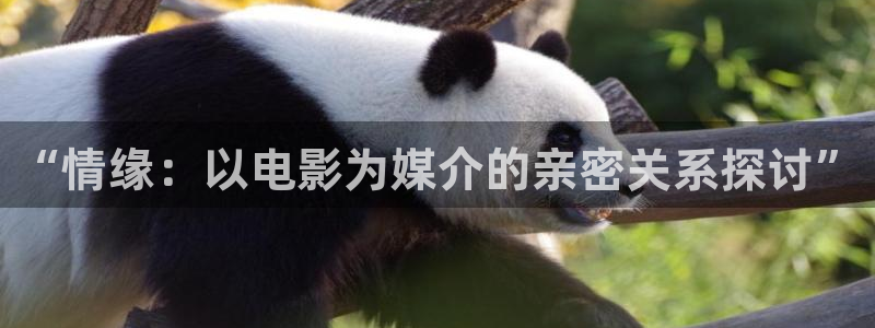 99视频18：“情缘：以电影为媒介的亲密关系探讨”