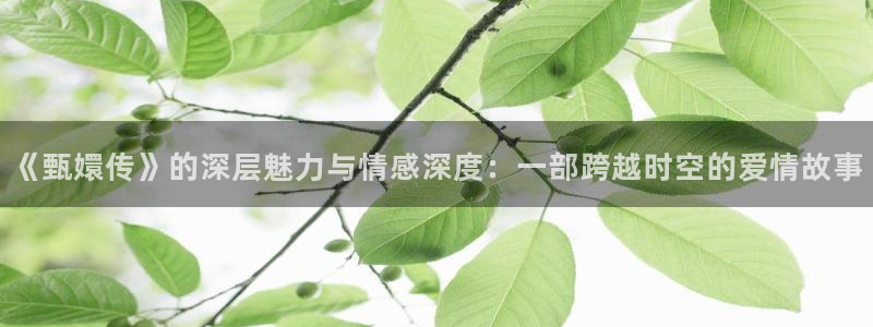 99视频久久看：《甄嬛传》的深层魅力与情感深度：一部跨越时空的爱情故事