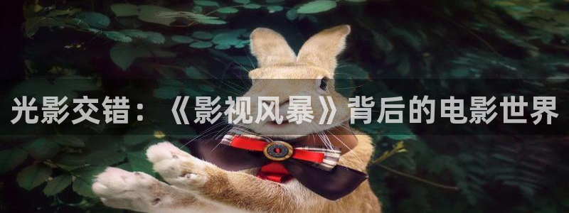 99视频精：光影交错：《影视风暴》背后的电影世界