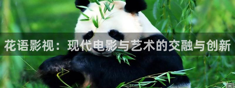 国产99视频精品：花语影视：现代电影与艺术的交融与创新